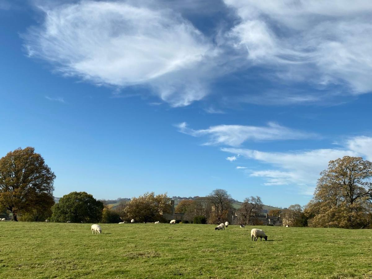 Zen Cottage, Cheltenham 温什科姆 外观 照片